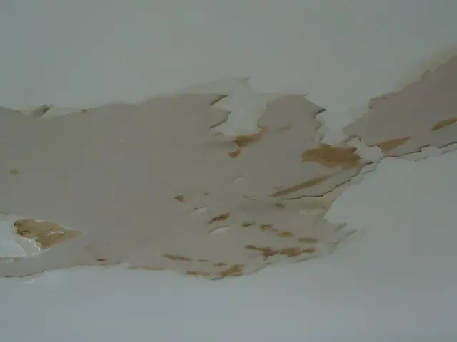 Peeling paint and affected ceiling material.