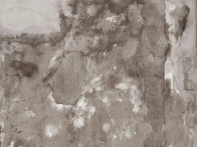 Visible staining and wear on a wall surface.